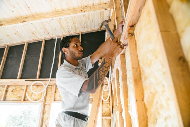 Best Crawl Space Insulation  in Strawberry Plains, TN